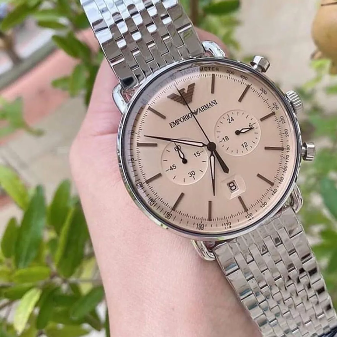 Untitled 1 6 jpg Untitled 1 6 jpg